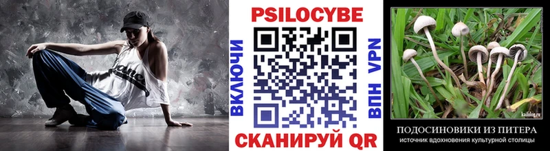 Галлюциногенные грибы Cubensis Задонск